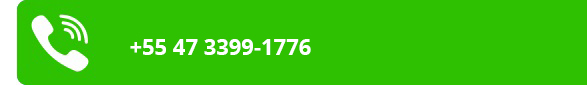 +55 47 3380-4529